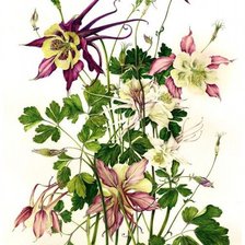 Cross stitch pattern: #1638802