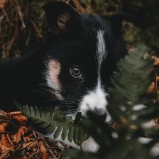 Cross stitch pattern: #1638934