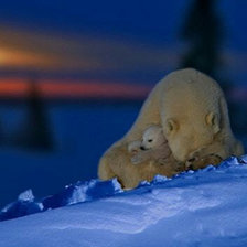 Cross stitch pattern: #1638945