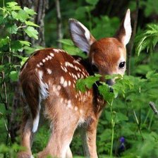 Cross stitch pattern: #1643633