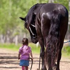 Cross stitch pattern: #1643637