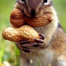 Cross stitch pattern: #1645919