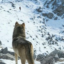 Cross stitch pattern: #1646835