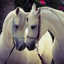 Cross stitch pattern: #1646923