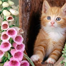 Cross stitch pattern: #1646942