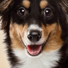 Cross stitch pattern: #1647195