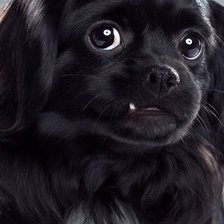 Cross stitch pattern: #1647200