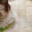 Preview of cross stitch pattern: #1647904