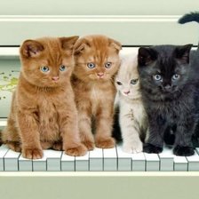 Cross stitch pattern: #1647912