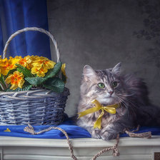 Cross stitch pattern: #1647925