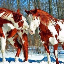 Cross stitch pattern: #1648316
