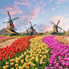 Cross stitch pattern: #1648502