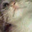 Preview of cross stitch pattern: #1648554