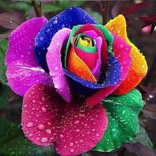 Cross stitch pattern: #1648583