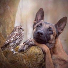Cross stitch pattern: #1648636