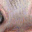 Preview of cross stitch pattern: #1648673