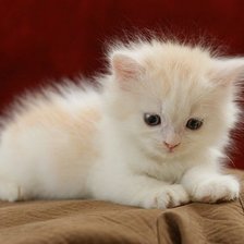 Cross stitch pattern: #1649408