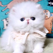 Cross stitch pattern: #1651312