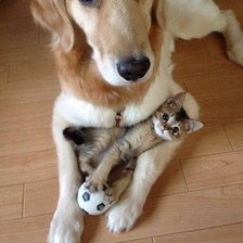 Cross stitch pattern: #1651598