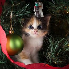 Cross stitch pattern: #1651625