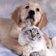 Cross stitch pattern: #1651634