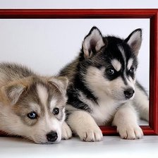 Cross stitch pattern: #1651641