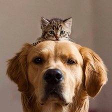 Cross stitch pattern: #1651660