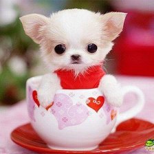 Cross stitch pattern: #1651735