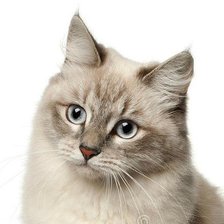 Cross stitch pattern: #1652094
