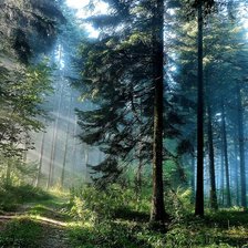 Cross stitch pattern: #1652287