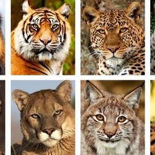 Cross stitch pattern: #1653685