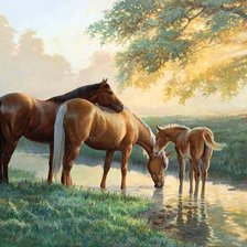 Cross stitch pattern: #1654312