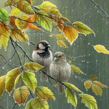 Cross stitch pattern: #1655114