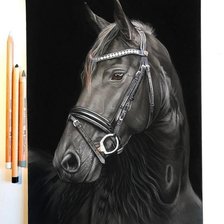 Cross stitch pattern: #1655412