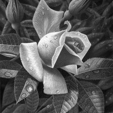 Cross stitch pattern: #1656124