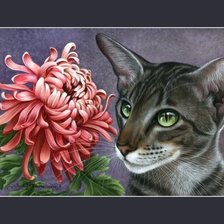 Cross stitch pattern: #1657100