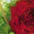 Preview of cross stitch pattern: #1657229