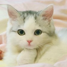 Cross stitch pattern: #1659155
