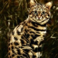 Cross stitch pattern: #1659163