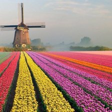 Cross stitch pattern: #1661944