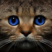Cross stitch pattern: #1662807