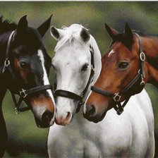 Cross stitch pattern: #1662823