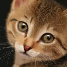 Cross stitch pattern: #1662848