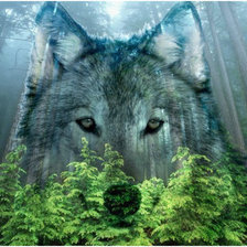 Cross stitch pattern: #1662900