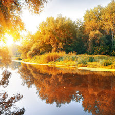 Cross stitch pattern: #1663076