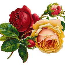 Cross stitch pattern: #1666163