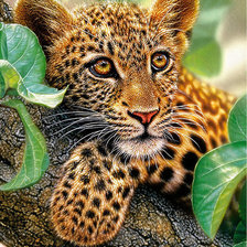 Cross stitch pattern: #1666509