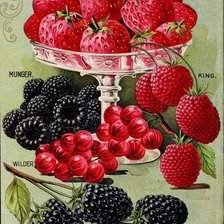 Cross stitch pattern: #1667396