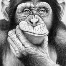 Cross stitch pattern: #1667496