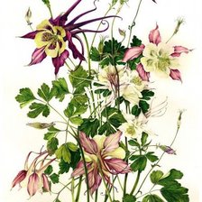 Cross stitch pattern: #1672049